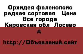 Орхидея фаленопсис редкая сортовая › Цена ­ 800 - Все города  »    . Кировская обл.,Лосево д.